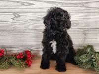 processed/7da3318d-f109-4800-80d6-8ec6cca7057d/listing/8834311a-9fbd-447c-a16a-d95e38fbee0b/d838f0a0-9c6e-4bc0-87c9-1cc5dbbf3710