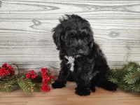 processed/7da3318d-f109-4800-80d6-8ec6cca7057d/listing/8834311a-9fbd-447c-a16a-d95e38fbee0b/ef1537cd-635d-4474-b1a5-f7dae8365d37