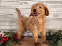 processed/7da3318d-f109-4800-80d6-8ec6cca7057d/listing/b406e68e-afc6-4570-a9c9-0fe7e4130a41/08837281-c798-4551-b7c2-57087a164af4