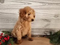 processed/7da3318d-f109-4800-80d6-8ec6cca7057d/listing/b406e68e-afc6-4570-a9c9-0fe7e4130a41/ad604db0-8010-4cb1-abba-a4dac97af6b2