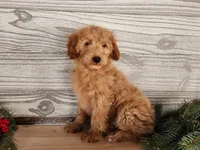 processed/7da3318d-f109-4800-80d6-8ec6cca7057d/listing/b406e68e-afc6-4570-a9c9-0fe7e4130a41/e14f5ea8-7428-4ff4-9a3d-971b07df6d85