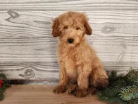 processed/7da3318d-f109-4800-80d6-8ec6cca7057d/listing/b406e68e-afc6-4570-a9c9-0fe7e4130a41/ea11cf36-ab6b-4a0a-a59a-40de2c1fd68c