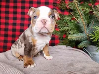 processed/7da3318d-f109-4800-80d6-8ec6cca7057d/listing/d5b8fa49-978b-4282-a015-a6eaac91cb9b/09b2ecb8-a6c3-49f4-b707-f8985d894912