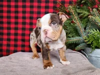 processed/7da3318d-f109-4800-80d6-8ec6cca7057d/listing/d5b8fa49-978b-4282-a015-a6eaac91cb9b/108ef74b-ba47-4c7b-badb-9f7fce731423