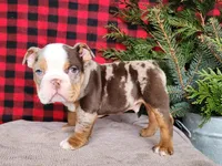 processed/7da3318d-f109-4800-80d6-8ec6cca7057d/listing/d5b8fa49-978b-4282-a015-a6eaac91cb9b/51a2c551-ad43-46ce-be0e-1e58f6b638bb