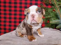 processed/7da3318d-f109-4800-80d6-8ec6cca7057d/listing/d5b8fa49-978b-4282-a015-a6eaac91cb9b/62d658fc-a940-4fa7-99ec-20ee43684f61