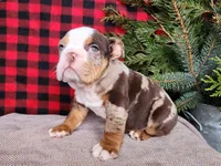 processed/7da3318d-f109-4800-80d6-8ec6cca7057d/listing/d5b8fa49-978b-4282-a015-a6eaac91cb9b/79a9191d-9b25-4b04-a14a-b08f185a18cb