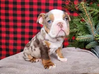 processed/7da3318d-f109-4800-80d6-8ec6cca7057d/listing/d5b8fa49-978b-4282-a015-a6eaac91cb9b/85d41bbb-c4ea-4287-be53-25aa64b6aaa7