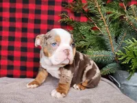 processed/7da3318d-f109-4800-80d6-8ec6cca7057d/listing/d5b8fa49-978b-4282-a015-a6eaac91cb9b/9fe11397-b4eb-4f08-b5d8-fe2b86d79e6d