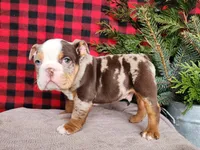 processed/7da3318d-f109-4800-80d6-8ec6cca7057d/listing/d5b8fa49-978b-4282-a015-a6eaac91cb9b/eed96e13-3087-4d38-8bda-d77593f4af11