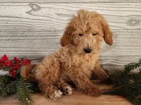 processed/7da3318d-f109-4800-80d6-8ec6cca7057d/listing/ff9cdd5c-4243-4f42-af99-4649790f0481/51e1fced-44c8-402a-8eb5-58945b1d79a8