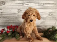 processed/7da3318d-f109-4800-80d6-8ec6cca7057d/listing/ff9cdd5c-4243-4f42-af99-4649790f0481/d7e76484-0d39-42d4-9c7f-b494bff00a16