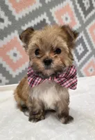 processed/7da69918-9589-4700-ab19-c28c789d4d01/listing/038b6e27-096d-4a00-8a44-eb40e45952b0/c6b6fa27-1dfa-46f9-b112-a1e961492a3e