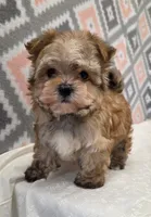 processed/7da69918-9589-4700-ab19-c28c789d4d01/listing/274f4dc7-fe90-4458-832d-aace779028dc/6c4d8044-af59-45c2-8802-ef51a2261f3b