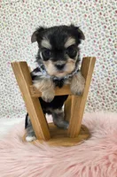 processed/7da69918-9589-4700-ab19-c28c789d4d01/listing/2f40fa19-a530-44f7-83ef-9d9f1112caa4/07e85fe6-0144-46ac-a2d9-940ff840c272