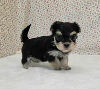 processed/7da69918-9589-4700-ab19-c28c789d4d01/listing/2f40fa19-a530-44f7-83ef-9d9f1112caa4/5daebd6b-edf7-4307-a88d-e643803df361