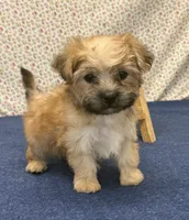 processed/7da69918-9589-4700-ab19-c28c789d4d01/listing/6b75708c-f738-4ce0-8cab-6da3c5f1922c/2a47bbee-95e7-42e0-b1af-8d1855a80fb8