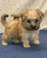 processed/7da69918-9589-4700-ab19-c28c789d4d01/listing/6b75708c-f738-4ce0-8cab-6da3c5f1922c/ea84cb76-f8da-40d3-9342-522c77138bd4