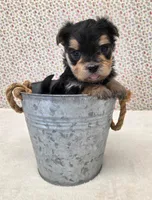 processed/7da69918-9589-4700-ab19-c28c789d4d01/listing/b38c3098-f45d-4d81-a428-5a4e7f51c0d2/04bc2736-9cea-44c7-9208-0202287936c3