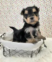 processed/7da69918-9589-4700-ab19-c28c789d4d01/listing/b38c3098-f45d-4d81-a428-5a4e7f51c0d2/4a1c88a8-cb99-47ff-8509-2b5040705791