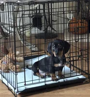 processed/7db29b7c-a94b-497e-a038-5f1b5f2c7dcf/listing/517cb46d-1696-48e2-b7c6-85dfe264d1cf/37138976-0bd5-4904-bc6c-323b9b505e3a