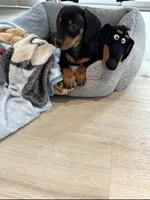 processed/7db29b7c-a94b-497e-a038-5f1b5f2c7dcf/listing/517cb46d-1696-48e2-b7c6-85dfe264d1cf/dbd69a0f-d457-497f-b83b-21057f516b93