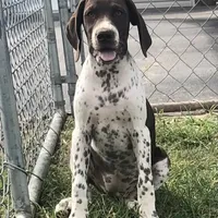 processed/7dbdb57c-3006-4cd5-903e-87403c6ffc65/facility/26268fe3-1038-4190-87a3-6f55352b636b