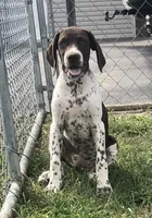 processed/7dbdb57c-3006-4cd5-903e-87403c6ffc65/facility/26268fe3-1038-4190-87a3-6f55352b636b