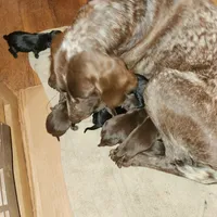 processed/7dbdb57c-3006-4cd5-903e-87403c6ffc65/facility/46e1552f-225c-4bf6-89a3-4bdb8f513e0a