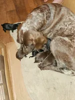 processed/7dbdb57c-3006-4cd5-903e-87403c6ffc65/facility/46e1552f-225c-4bf6-89a3-4bdb8f513e0a