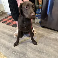 processed/7dbdb57c-3006-4cd5-903e-87403c6ffc65/facility/59aeb991-500b-4dbc-9e93-5c9fc1bb7a40