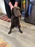 processed/7dbdb57c-3006-4cd5-903e-87403c6ffc65/facility/59aeb991-500b-4dbc-9e93-5c9fc1bb7a40