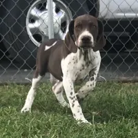 processed/7dbdb57c-3006-4cd5-903e-87403c6ffc65/facility/7bbd4959-3a99-4261-a787-b03093fda2a9