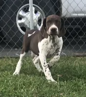 processed/7dbdb57c-3006-4cd5-903e-87403c6ffc65/facility/7bbd4959-3a99-4261-a787-b03093fda2a9