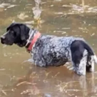 processed/7dbdb57c-3006-4cd5-903e-87403c6ffc65/facility/a76ca60b-24c7-4db4-a23c-f6dcb446bebc