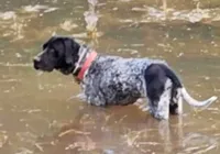 processed/7dbdb57c-3006-4cd5-903e-87403c6ffc65/facility/a76ca60b-24c7-4db4-a23c-f6dcb446bebc