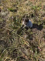 processed/7dbdb57c-3006-4cd5-903e-87403c6ffc65/listing/00a378d3-46fa-4380-9fb2-8a1c436d26f2/2c626eda-79c0-47be-878c-b93cef2c9ea8