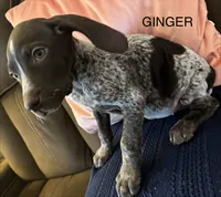 processed/7dbdb57c-3006-4cd5-903e-87403c6ffc65/listing/00a378d3-46fa-4380-9fb2-8a1c436d26f2/3e8e6d03-f812-4913-b1a8-5c22f7e6d61c