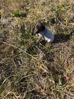 processed/7dbdb57c-3006-4cd5-903e-87403c6ffc65/listing/00a378d3-46fa-4380-9fb2-8a1c436d26f2/a595da0c-8256-4363-9615-ef83d098d913