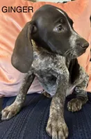 processed/7dbdb57c-3006-4cd5-903e-87403c6ffc65/listing/00a378d3-46fa-4380-9fb2-8a1c436d26f2/ebcc2f05-e2f4-402d-9d6e-3142d4ebb88b