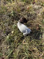 processed/7dbdb57c-3006-4cd5-903e-87403c6ffc65/listing/00a378d3-46fa-4380-9fb2-8a1c436d26f2/efbe48ea-9bfe-46cd-9487-0a39fffb9ebf