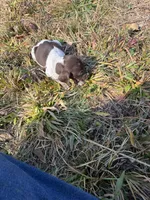 processed/7dbdb57c-3006-4cd5-903e-87403c6ffc65/listing/086a2deb-3a92-482f-8bb3-1d5ab36ed4f1/1f465c74-16e1-4978-ba70-cc6895996a87