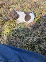 processed/7dbdb57c-3006-4cd5-903e-87403c6ffc65/listing/086a2deb-3a92-482f-8bb3-1d5ab36ed4f1/44247078-06fd-4840-ae65-9162b673ae88