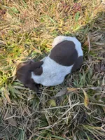 processed/7dbdb57c-3006-4cd5-903e-87403c6ffc65/listing/086a2deb-3a92-482f-8bb3-1d5ab36ed4f1/6aa1e3b5-6b4d-4e97-905f-7ea0d3fa8d1e