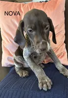 processed/7dbdb57c-3006-4cd5-903e-87403c6ffc65/listing/086a2deb-3a92-482f-8bb3-1d5ab36ed4f1/7d377a7e-edcf-4bc9-8120-44faf7372ca2