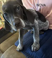 processed/7dbdb57c-3006-4cd5-903e-87403c6ffc65/listing/086a2deb-3a92-482f-8bb3-1d5ab36ed4f1/90dca8f1-0a42-43e5-a2f8-707af19babd7