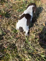 processed/7dbdb57c-3006-4cd5-903e-87403c6ffc65/listing/086a2deb-3a92-482f-8bb3-1d5ab36ed4f1/b22b7587-c86e-4546-8955-f9782ed66adf