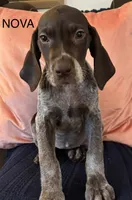 processed/7dbdb57c-3006-4cd5-903e-87403c6ffc65/listing/086a2deb-3a92-482f-8bb3-1d5ab36ed4f1/e9fac5b1-f8b9-437d-aaf6-dac8637112d2