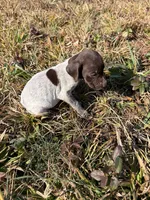 processed/7dbdb57c-3006-4cd5-903e-87403c6ffc65/listing/5101a956-faf1-4510-8c80-a2da900386e1/0255622e-b1cd-48ac-bbeb-36285a6b13fc