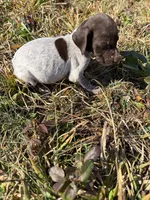 processed/7dbdb57c-3006-4cd5-903e-87403c6ffc65/listing/5101a956-faf1-4510-8c80-a2da900386e1/2c92cd3d-0420-411c-be39-5f335e555fe4